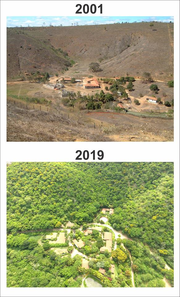 A photo comparison of the Rio Doce Valley before and after the efforts of Instituto Terra.