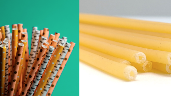 Paper straws on green background compared to pasta straws