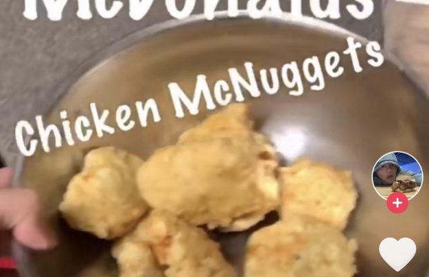 chicken nugget tiktok iscream chicken nugget tiktok iscream