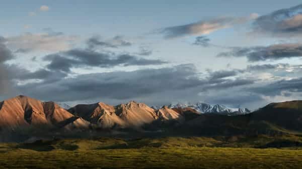 Denali National Park, Alaska, USA