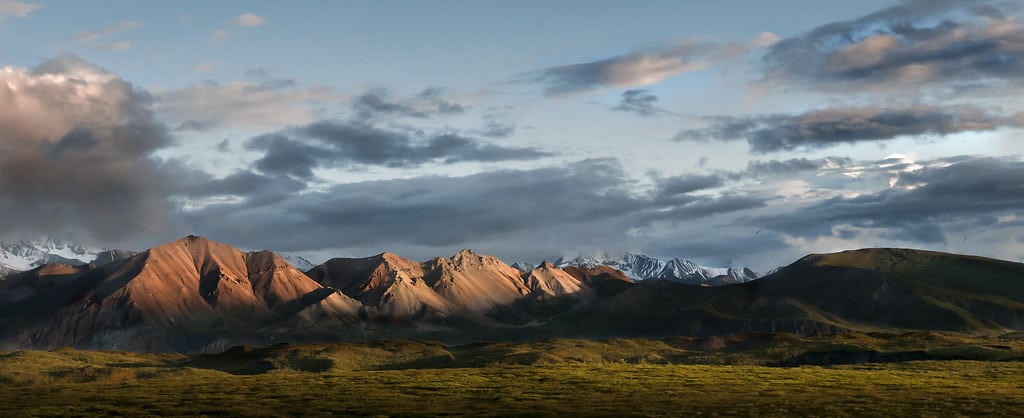 Denali National Park, Alaska, USA