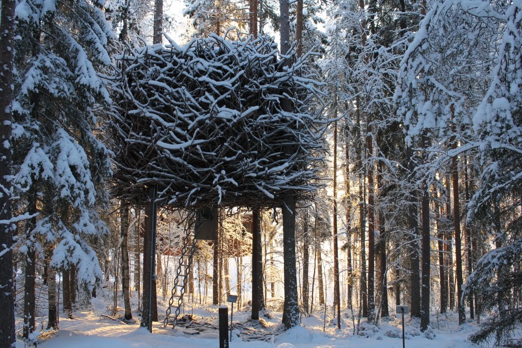 The Bird's Nest at the TreeHotel.
