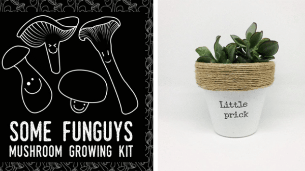 10 Quirky Gift Ideas