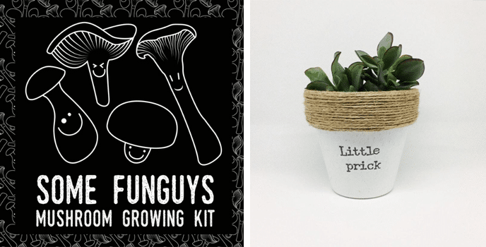 10 Quirky Gift Ideas