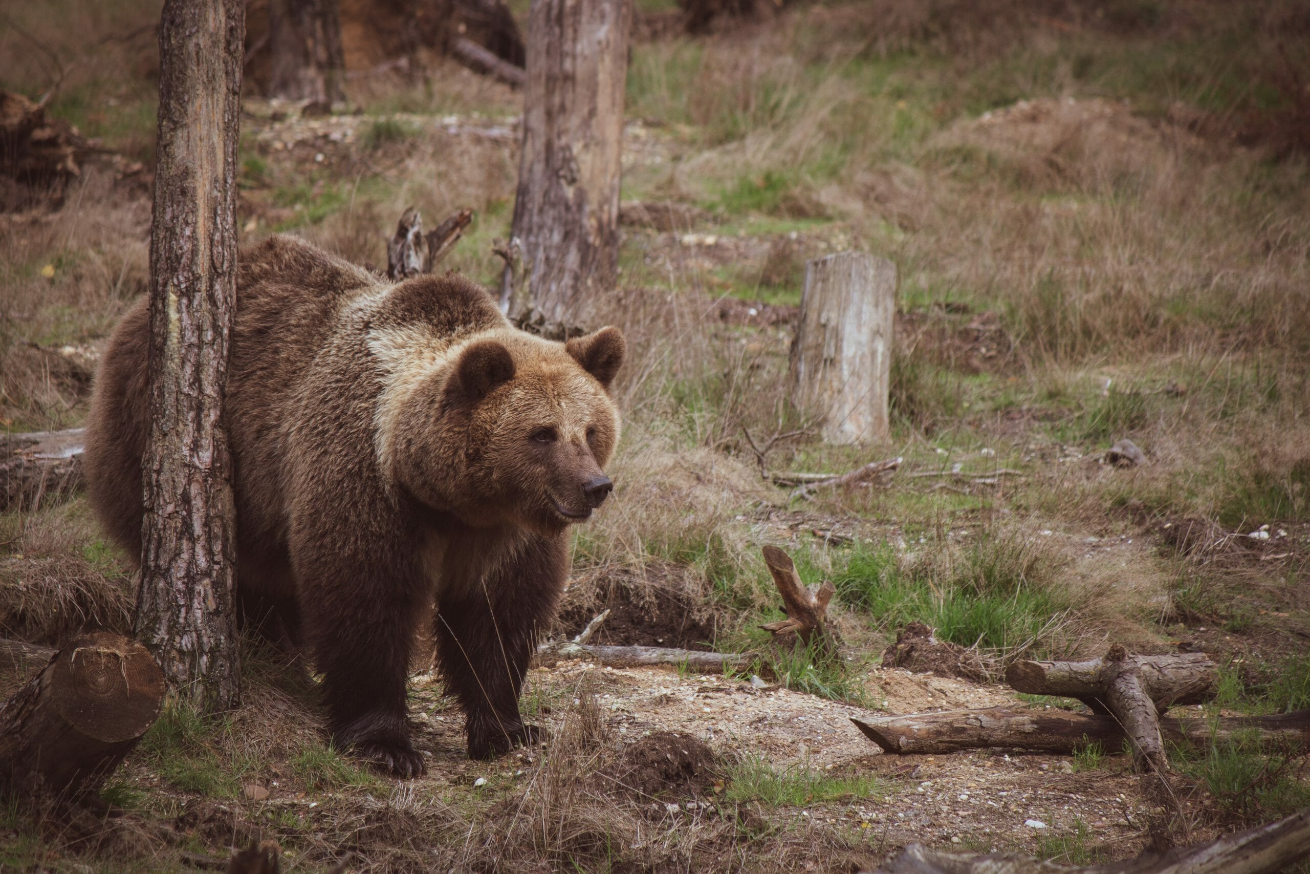 Photo Credit: Pexels / Vincent Ma Janssen