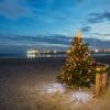 Christmas tree on beach