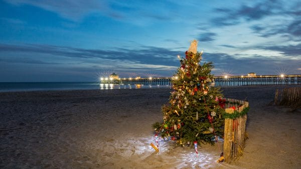 Christmas tree on beach