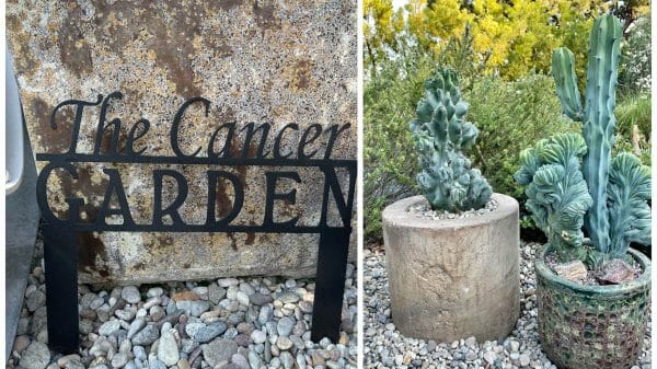A black metal sign saying 'The Cancer Garden', two cacti in stone pots
