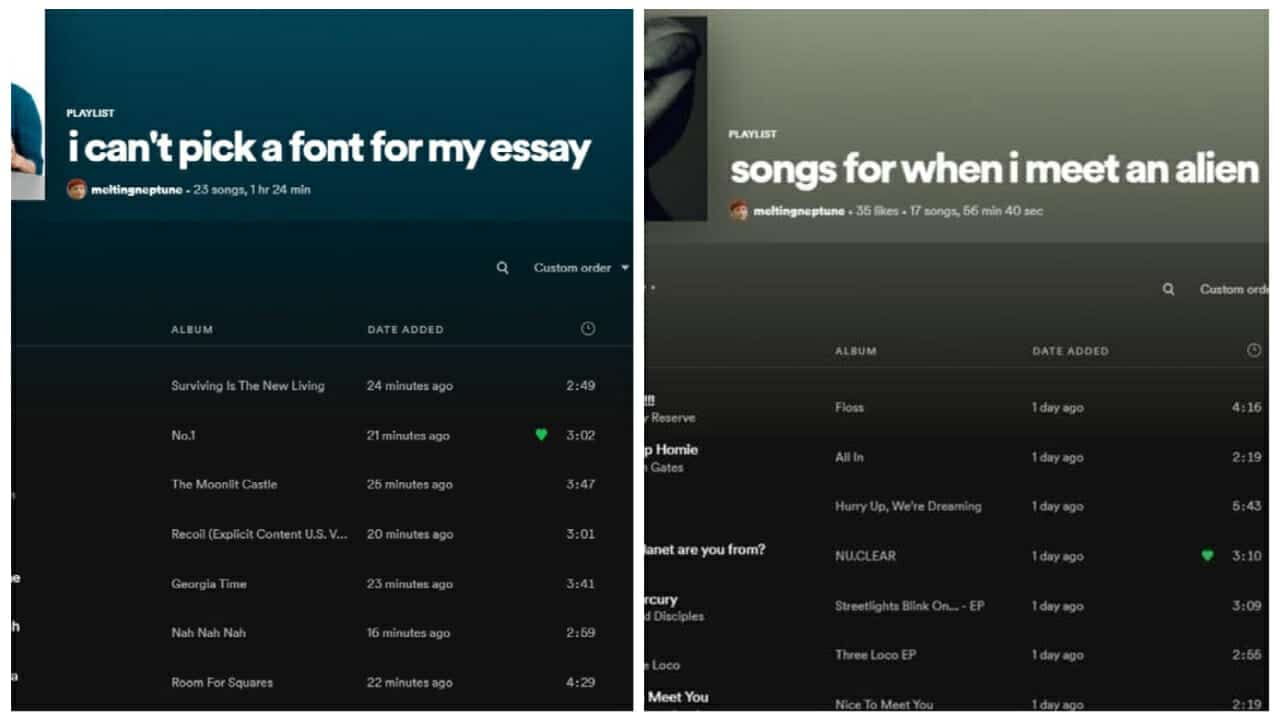 Two oddly specific Spotify Playlists