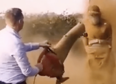 Danish man blowing cinnamon on single friend.