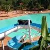 cow on a slide