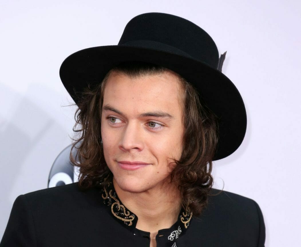 harry styles, harry styles leaving acting