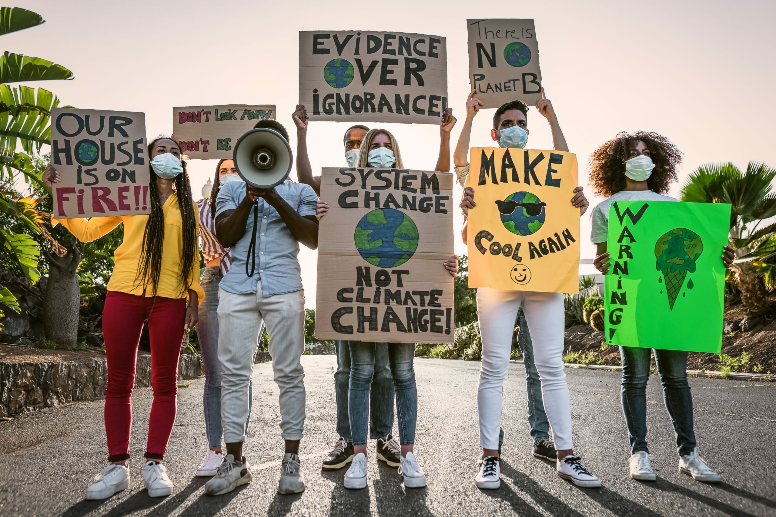 COP27 activists