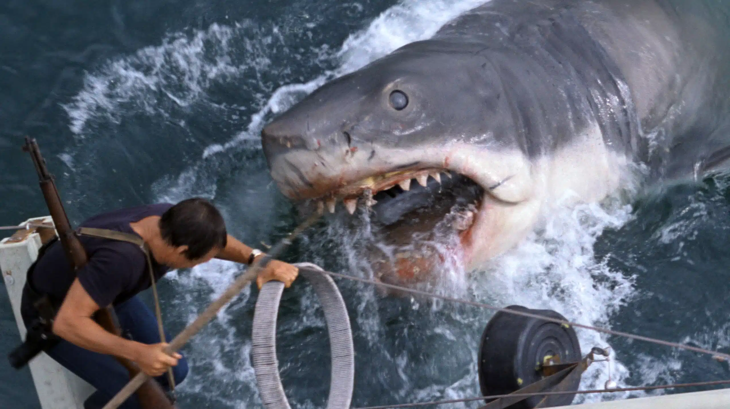 Jaws the movie