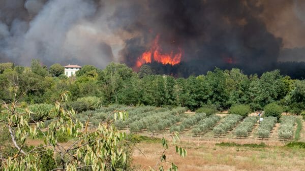 wildfires in France