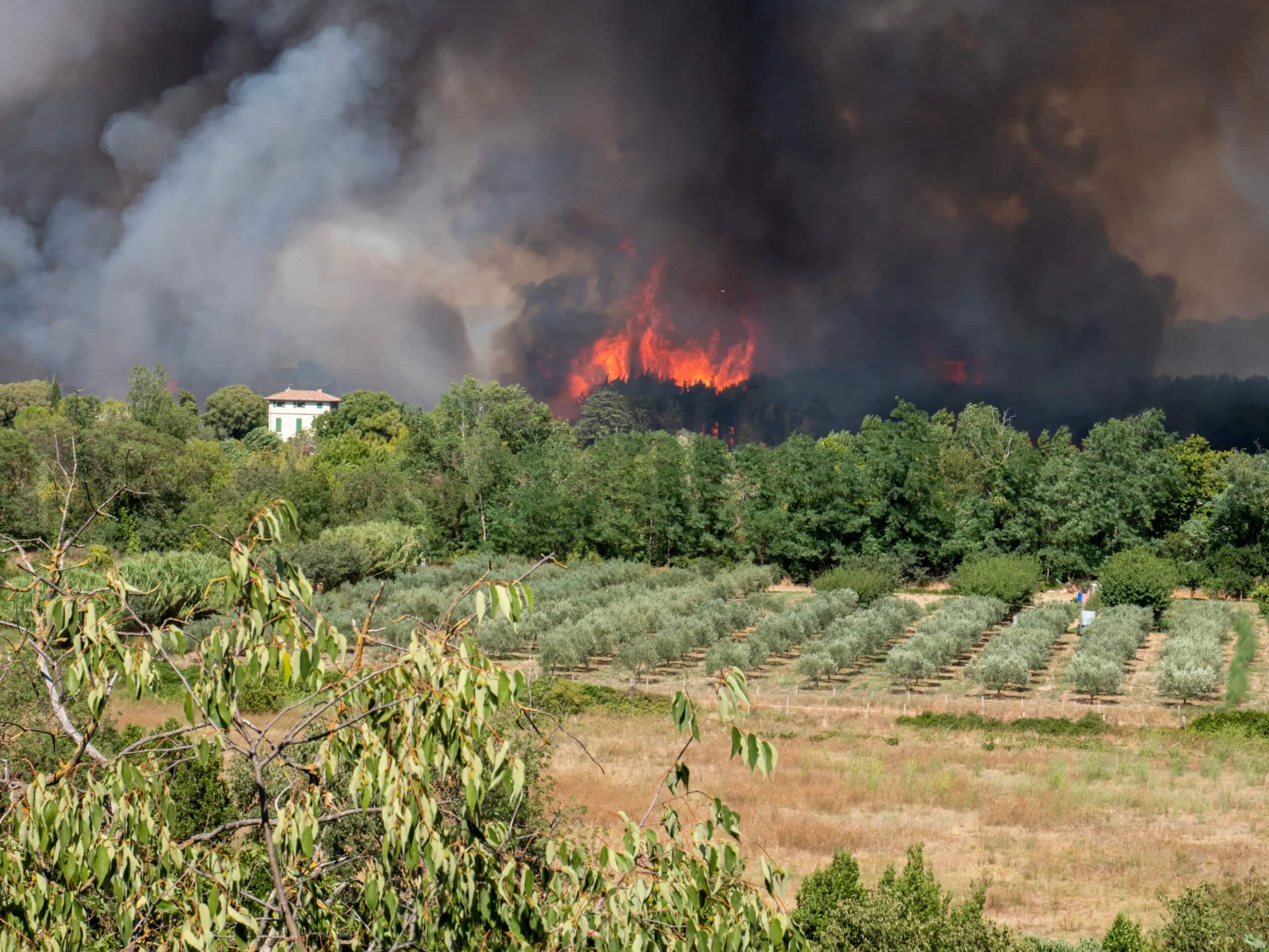 wildfires in France