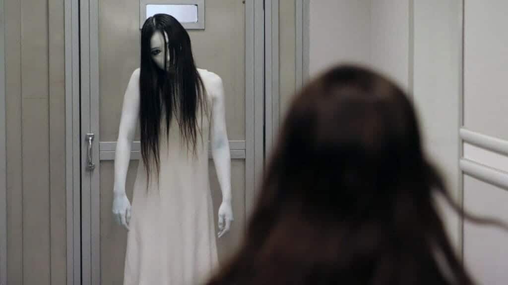 The Grudge, The Grudge plot, The Grudge Netflix, Netflix