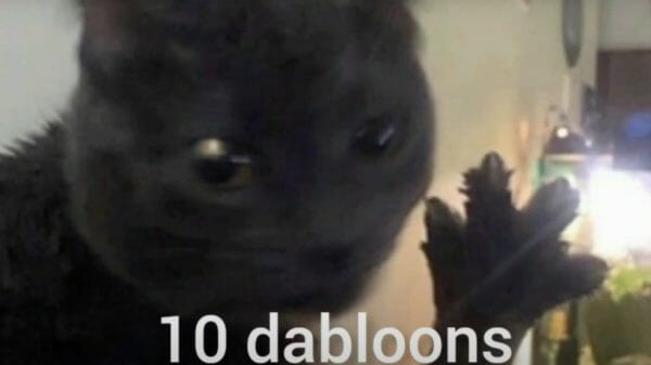 10 dabloons with a cat