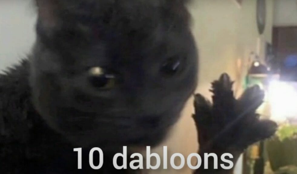 10 dabloons with a cat
