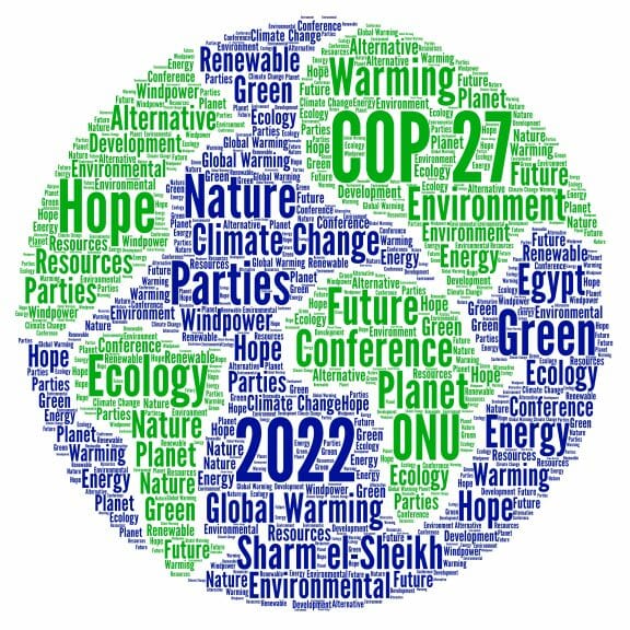 COP27