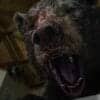 Cocaine Bear, Cocaine Bear cast, Cocaine Bear plot