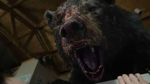 Cocaine Bear, Cocaine Bear cast, Cocaine Bear plot