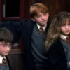 Harry Potter, Harry Potter plot, Harry Potter cast