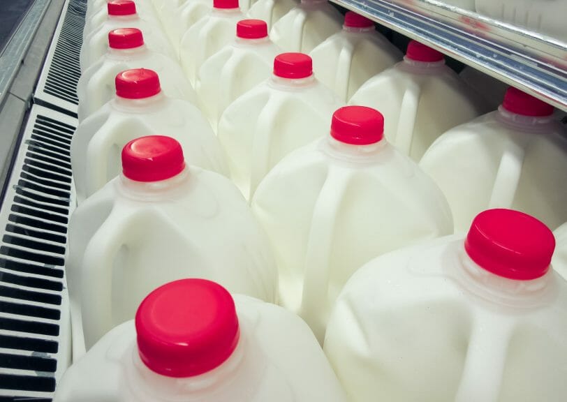 milk gallons in a store