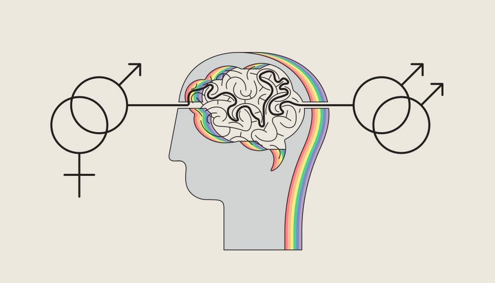 illustration of brain with connections to various sexual orientations/gender identities