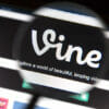 vine