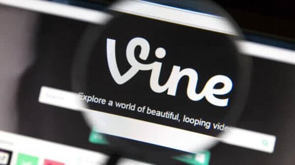 vine