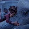 The Magician's Elephant