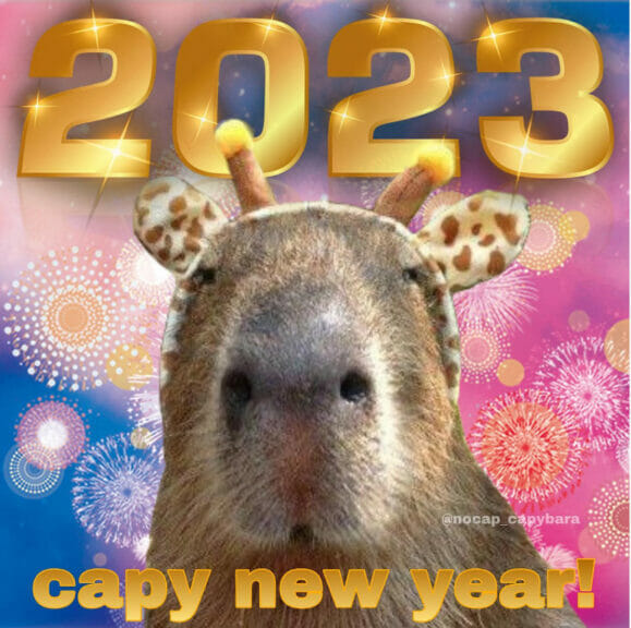 I made capybaras with different jobs or costumes : r/capybara
