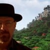 Breaking Bad character "Walter White" over Minecraft dark oak forest biome