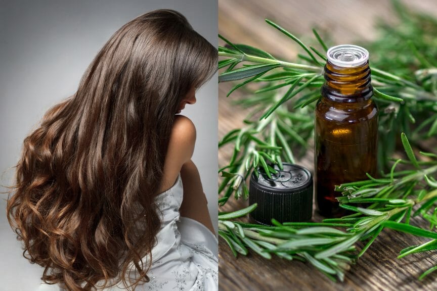 The Rosemary Oil' TikTok Trend: Can it Actually Promote Hair Growth? - Trill Mag The Rosemary Oil' TikTok Trend: Can it Actually Promote Hair Growth? - Trill Mag