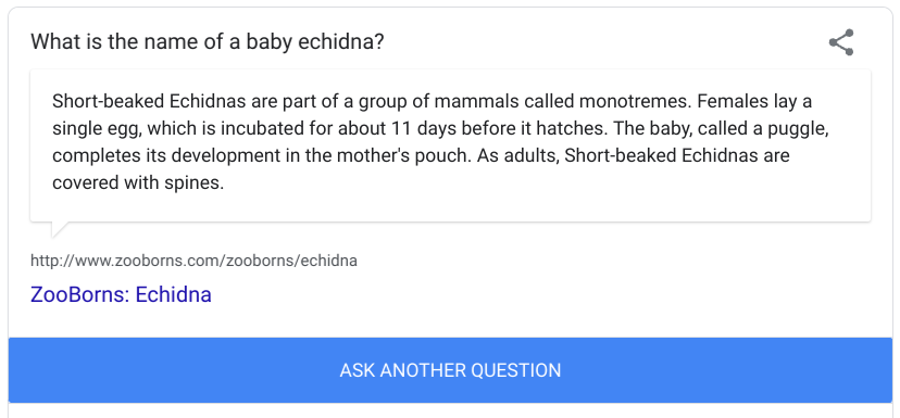 I'm Feeling Curious question #7

What is the name of a baby echidna?

Answer:
A puggle