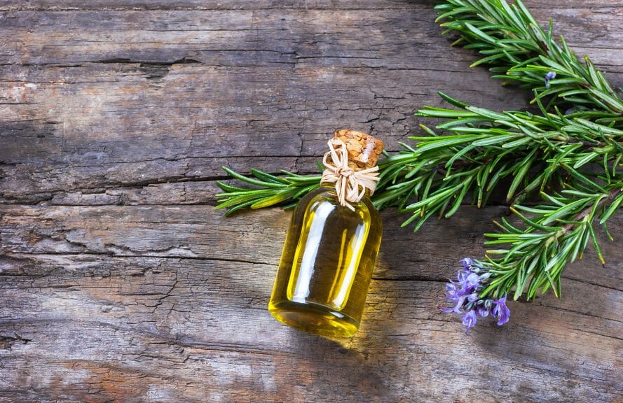 Oil bottle on wooden table next to rosemary plant.