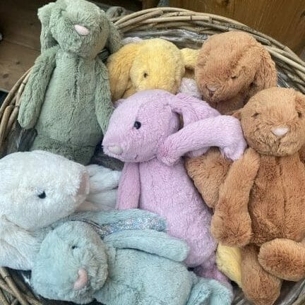 Bashful Bunnies are the OG Jellycats and now come in the most gorgeous colours