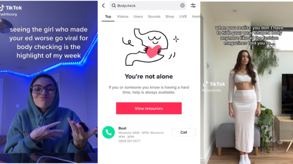 The image has three screenshots from TikToks - the first on the left is complaining about influencers bodychecking; the middle image is showing that TikTok bans 'bodychecking' and 'thinspo' from being searched; the last image is a body positivity creator celebrating her body