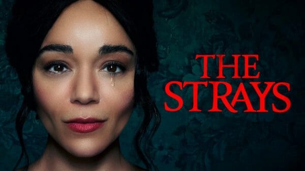The Strays (2023) poster