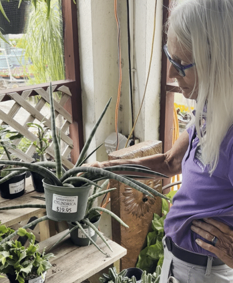 Judi holding a cylindrical snake plant, an African spear plant.