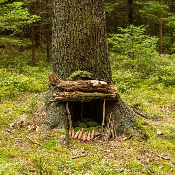 Tiny home make of sticks and bark in forest