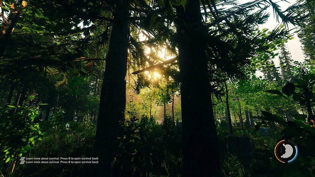 Screenshot from the Forest video game with sun poking through tall trees.