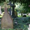 An array of tombstones among greenery