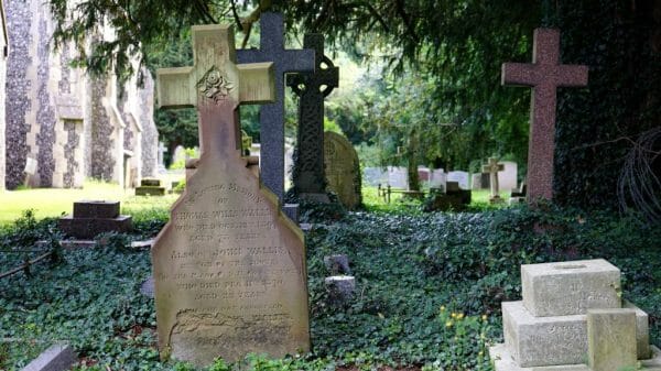 An array of tombstones among greenery