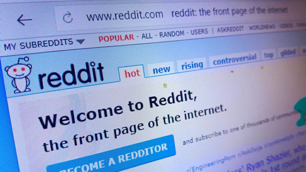 The original Reddit website (Stanislau Palaukou/Shutterstock)