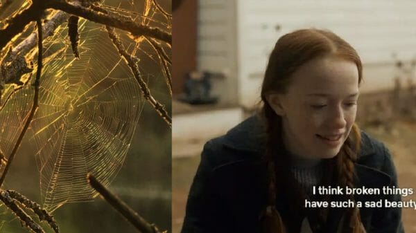 Image of spider's web and still shot from television series 'Anne With an E' which reads, 'I think broken things have such a sad beauty'.
