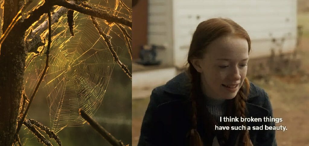 Image of spider's web and still shot from television series 'Anne With an E' which reads, 'I think broken things have such a sad beauty'.