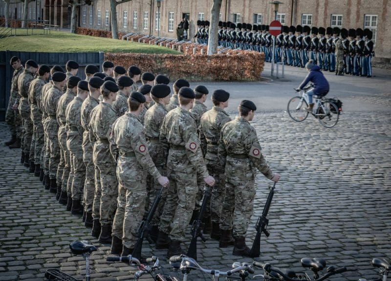 Denmark's army