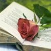 Vintage poetry book with red rose; lying on table against countryside background.